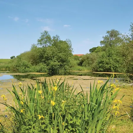 4 Bedroom Beach Front Home In Stege Dom wakacyjny *